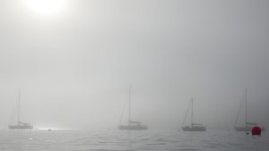 Havre Gosselin im Nebel